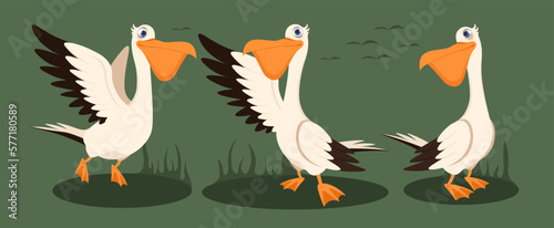 Vector illustration of cute and beautiful pelicans isolated on a green background. Charming pelican characters with different emotions and poses with silhouettes of birds in cartoon style.