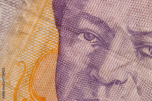 Detail of five Romanian Lei banknote