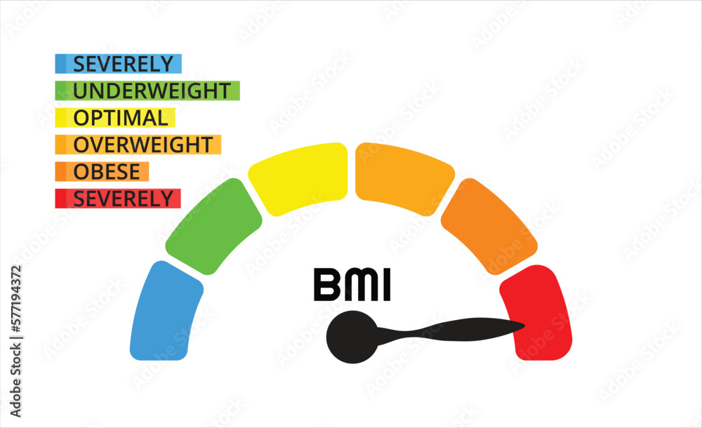 Vetor de BMI categories chart, body mass index and scale mass people