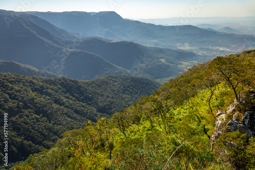 Obraz na płótnie Serra Gaucha, Mountains in Rio Grande do Sul near Gramado, Southern Brazil w salonie