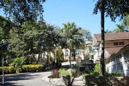Garden of Museum Finca Vigía in Havana, Cuba Caribbean