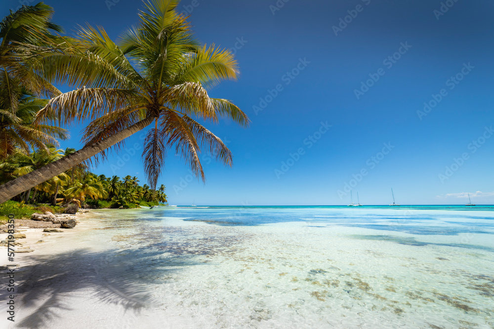 Boats and tropical beach in caribbean sea, Saona island, Dominican Republic