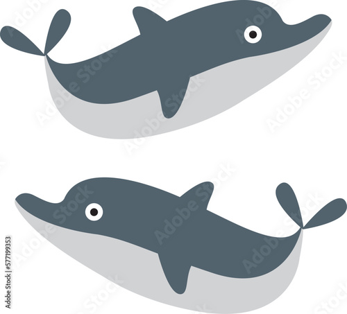 dolphins