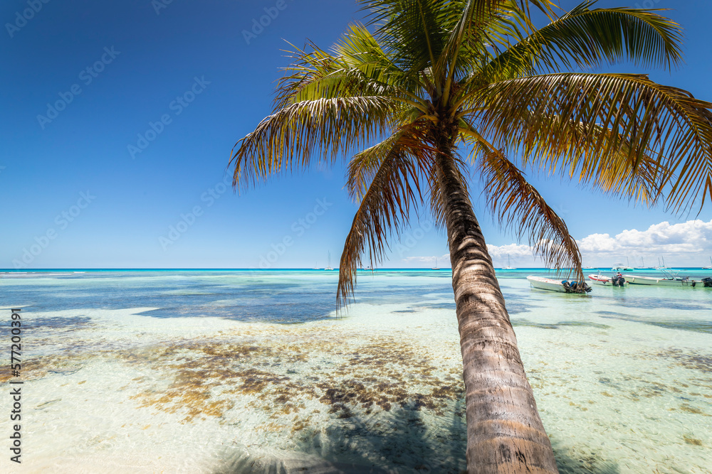Boats and tropical beach in caribbean sea, Saona island, Dominican Republic