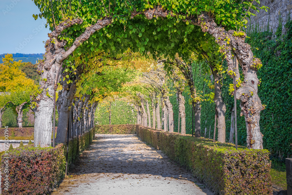 Gardens alleys in idyllic public park, Wurzburg, romantic road of Germany