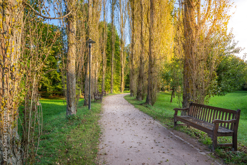 Alley with trees in treptower park at autumn sunset, Berlin, Germany