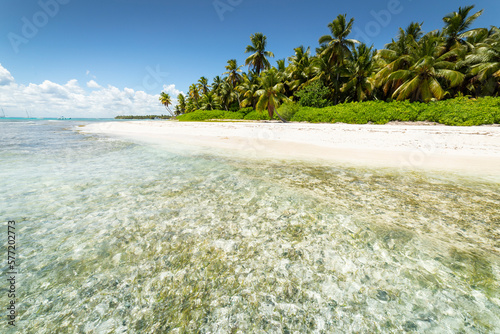 Fototapeta Naklejka Na Ścianę i Meble -  Tropical beach in caribbean sea, idyllic Saona island, Dominican Republic