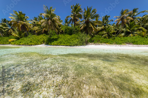 Obraz na płótnie Tropical beach in caribbean sea, idyllic Saona island, Dominican Republic w salonie