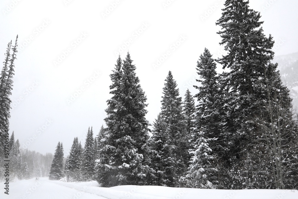 Obraz premium Rural Rocky Mountain - snowy winter weather 