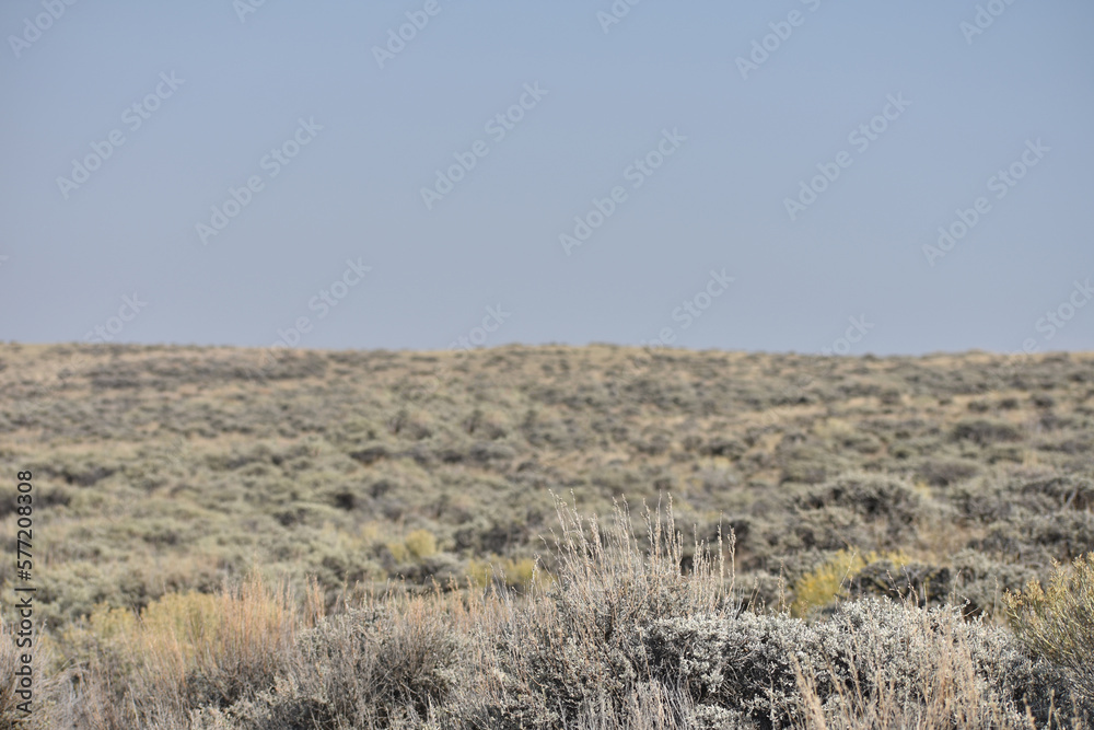 Colorado Desert Landscape Colorado Desert Landscape