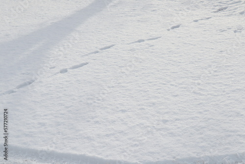 snowy background with footprints