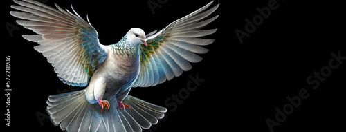 White dove with open wings on a black background...The dawn of purity...Wings of Liberty...Generative AI.