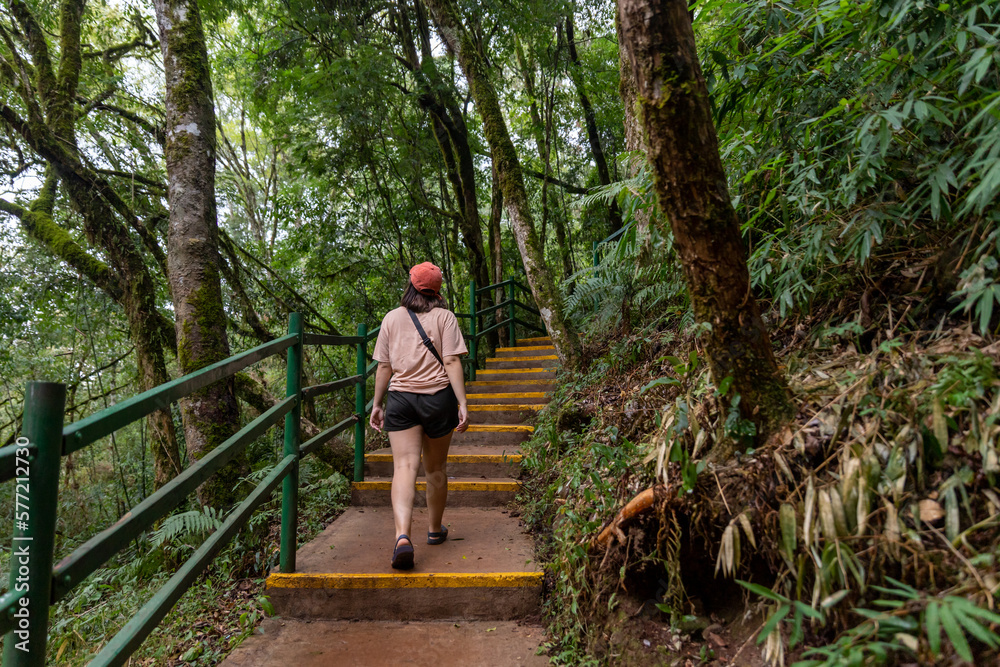 chica sola, subiendo unas escaleras en medio del bosque. chica sola, subiendo unas escaleras en medio del bosque.