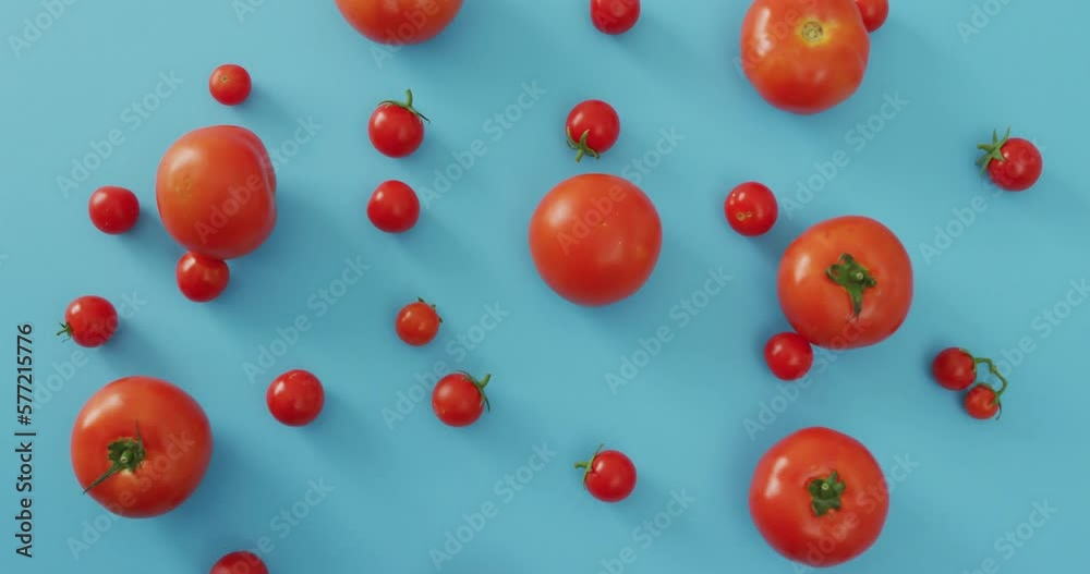 Video of fresh tomatoes and cherry tomatoes on blue background Video of fresh tomatoes and cherry tomatoes on blue background