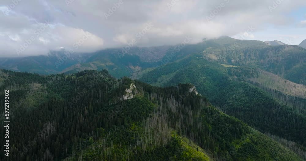 Beautiful mountain landscape in summer, cloudy sky, forest and rocks. Zakopane Beautiful mountain landscape in summer, cloudy sky, forest and rocks. Zakopane