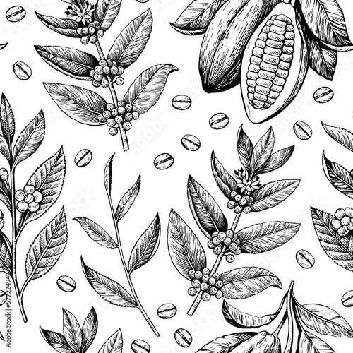 Seamless pattern with coffee beans, cacao pods and tea branches. Black and white illustration in retro engraving style. © Yuliya