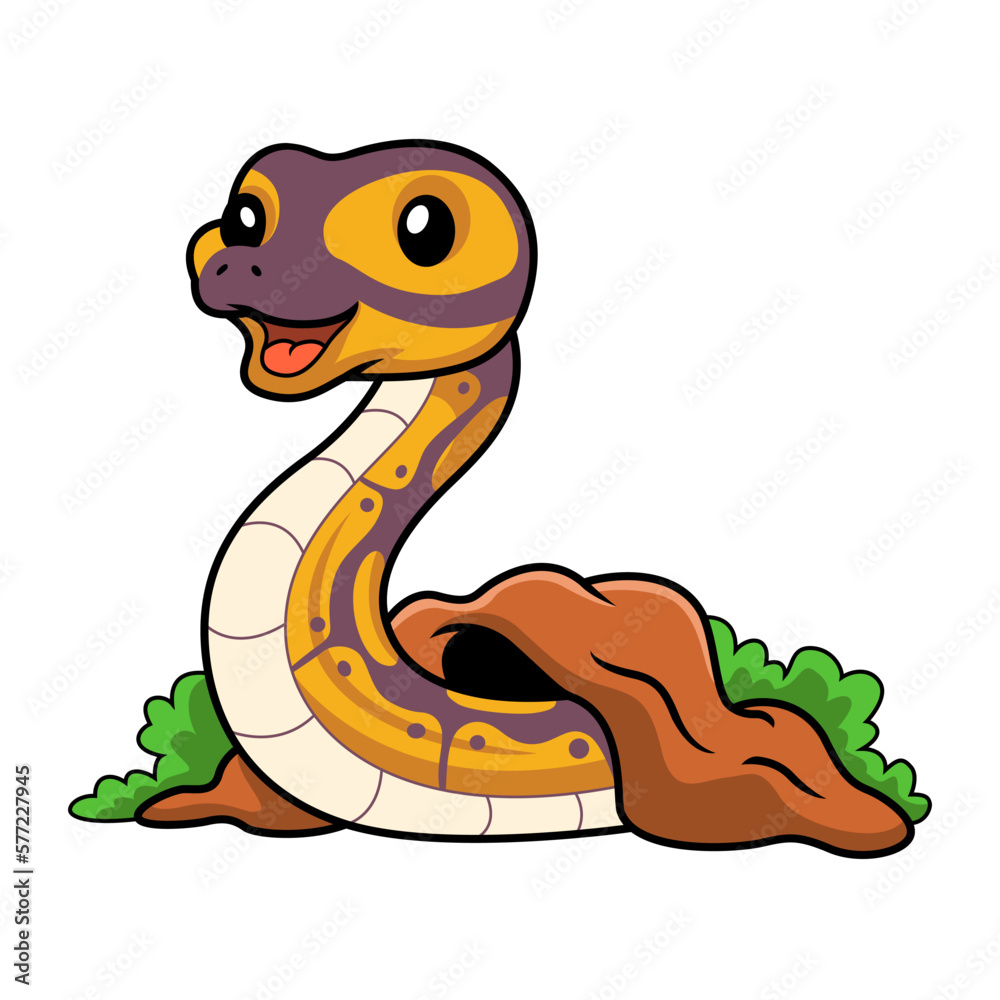 Cute banana ball python snake cartoon out from hole Cute banana ball python snake cartoon out from hole