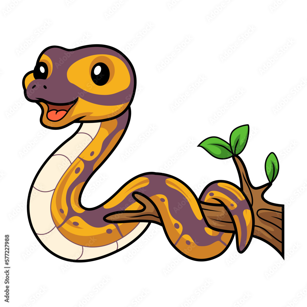 Fototapeta premium Cute banana ball python snake cartoon on tree branch