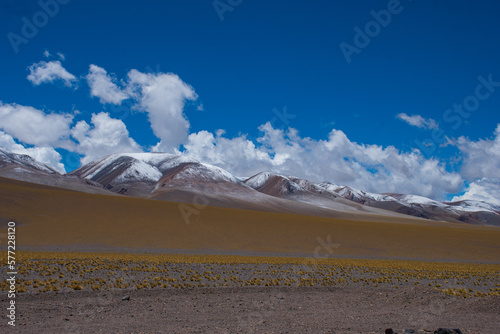 Pradera verde con montañas nevadas en el fondo, Fiambala, Catamarca, Argentina photo