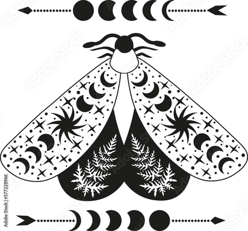 Composition Tarot Mystery Moon Moth vector illustration