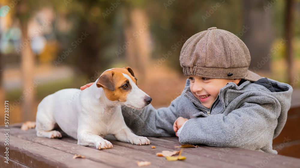 Jack Russell Terrier dog sits on a bench for a walk with a boy in an autumn park. 
