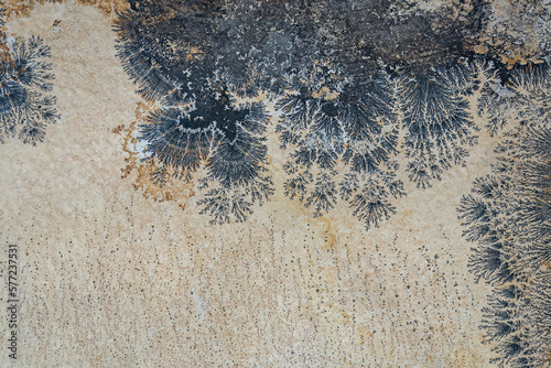 Photography Detailed example of dendrites on a stone.