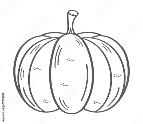 pumpkin vegetable hand draw