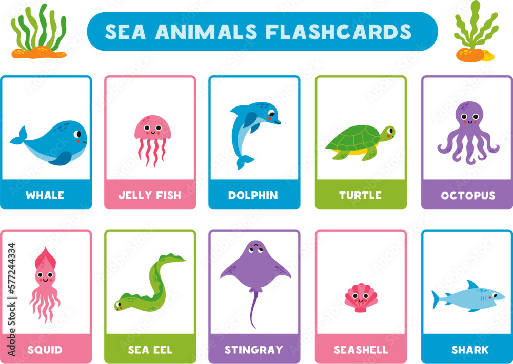 Cute cartoon sea animals with names. Flashcards for learning English.