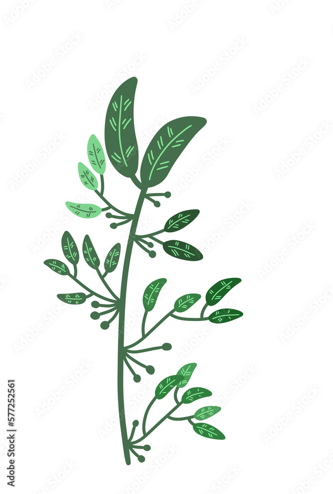 Aesthetic Leaf Simple For Decoration Ornament Aesthetic Leaf Simple For Decoration Ornament
