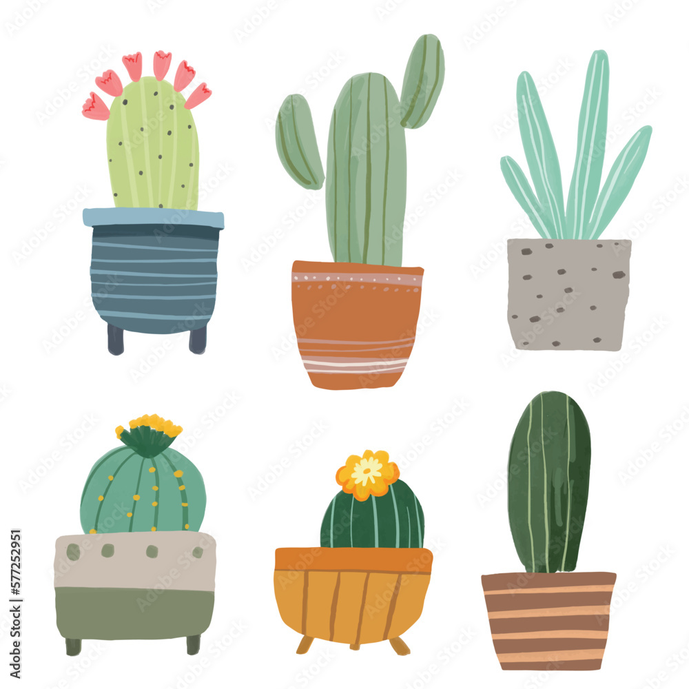 Cacti and House Plant Element Illustration
