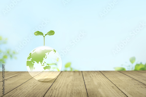 青空に透明な地球に新芽。環境保護と持続可能な社会