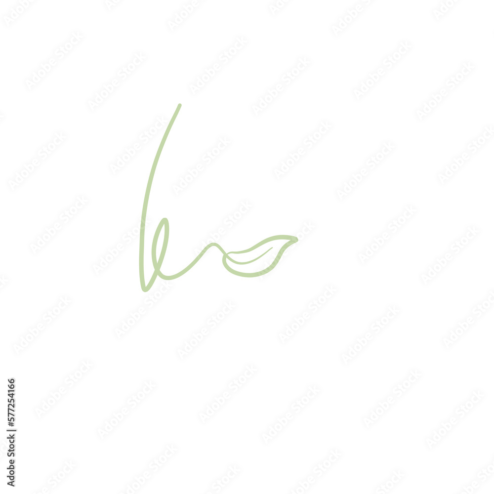 Aesthetic Leaf Simple For Decoration Ornament Aesthetic Leaf Simple For Decoration Ornament