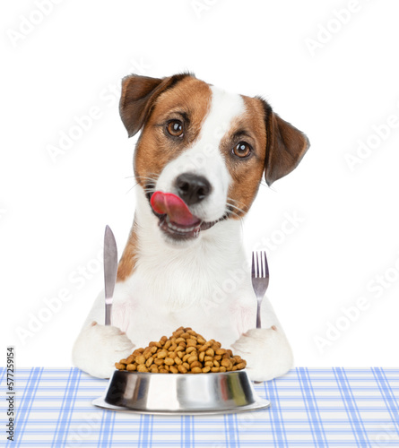 Hungry Jack russell terrier puppy holds fork and knife, sits by the table with bowl of dry dogs food and ready for dinner. isolated on white background © Ermolaev Alexandr