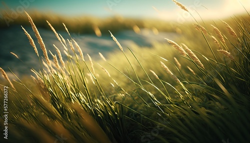 Meadow grass on morning background. Generative AI technology.