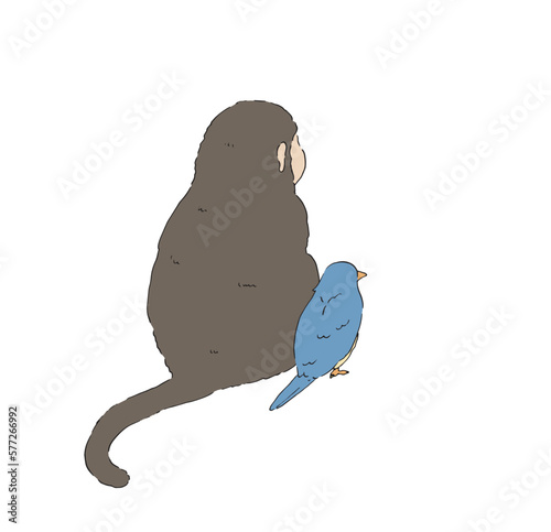 景色を眺める猿と鳥の後ろ姿-手描きの線画 photo