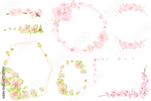 水彩調の八重桜のフレームセット