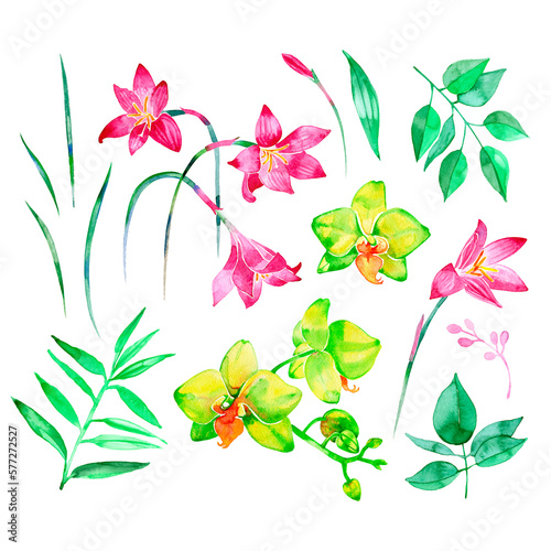 watercolor illustration  orchid flowers and green leaves  bouquet  floral composition  isolated on white background