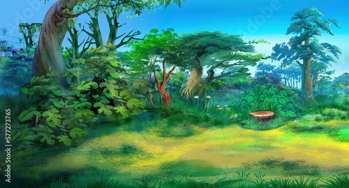 Forest glade on a summer day illustration