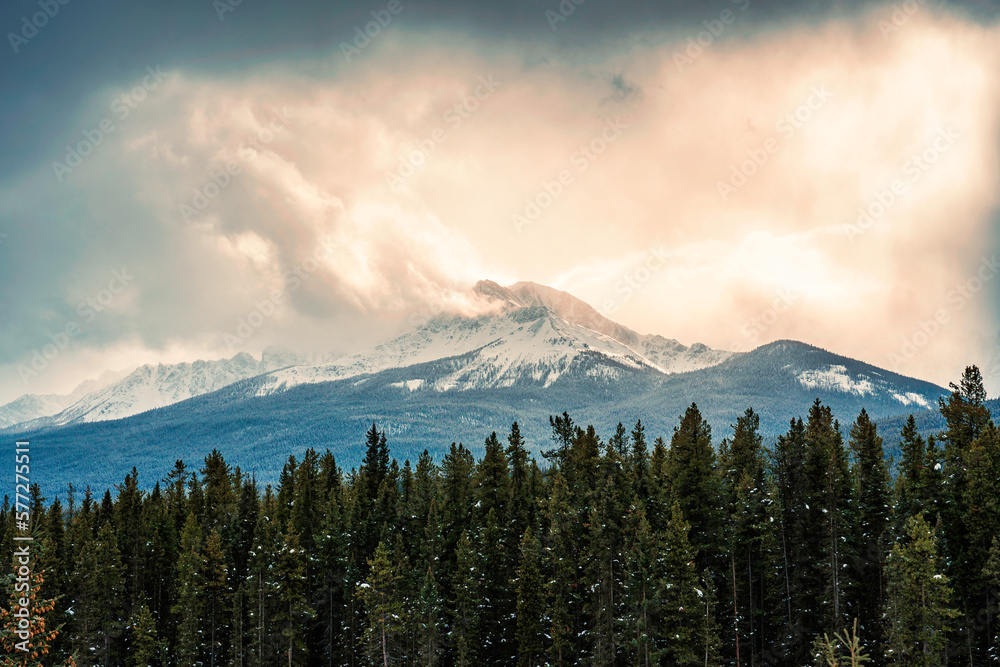 Obraz premium Rocky Mountains with sunlight shining in pine forest at countryside