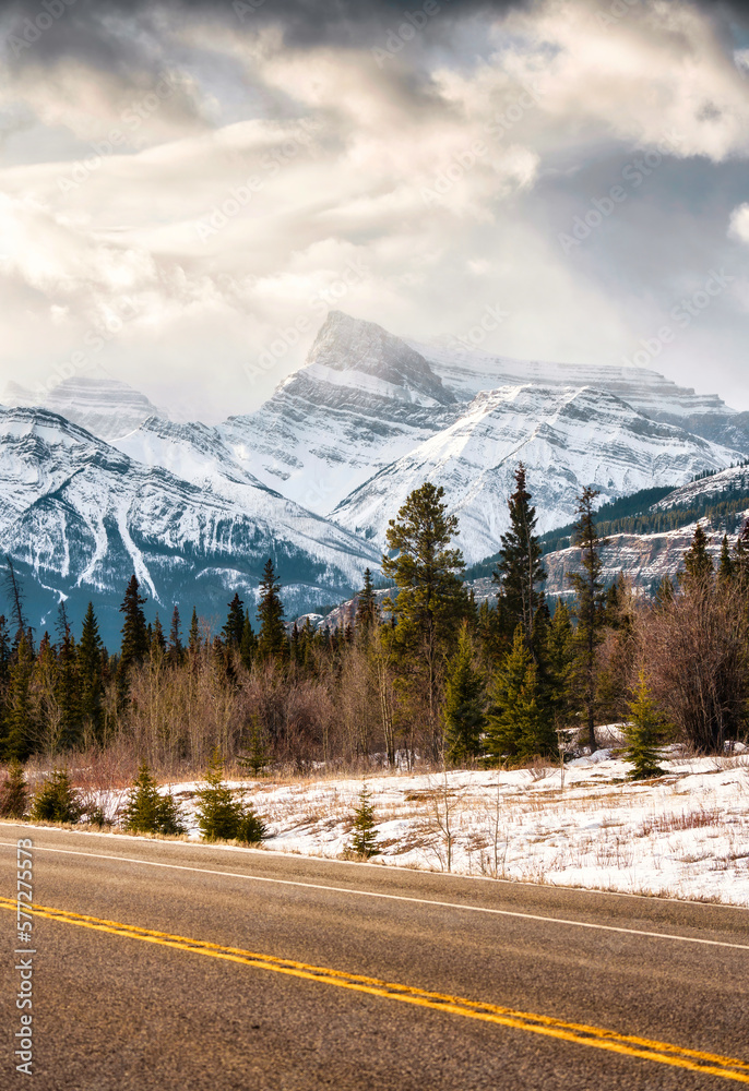 Rocky mountains in pine forest on highway at Icefields Parkway
