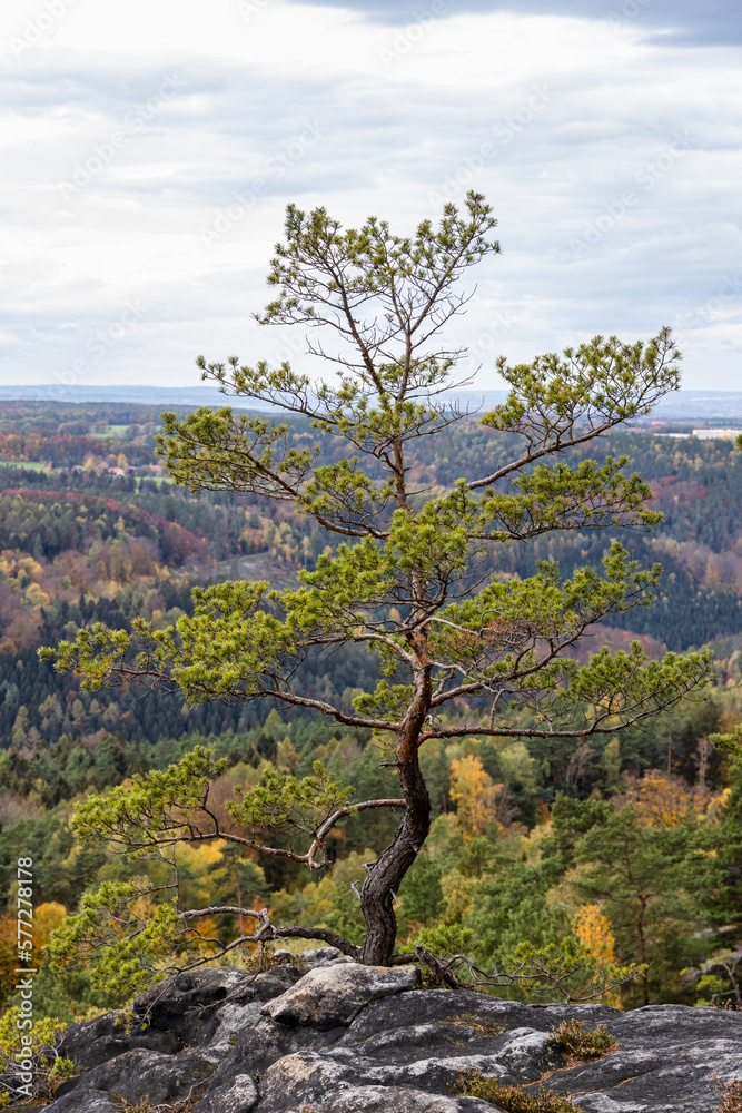 Elbsandsteingebirge im Herbst sächsische Schweiz Elbsandsteingebirge im Herbst sächsische Schweiz