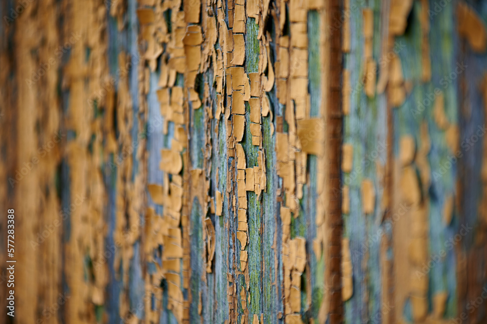 Wooden houses of