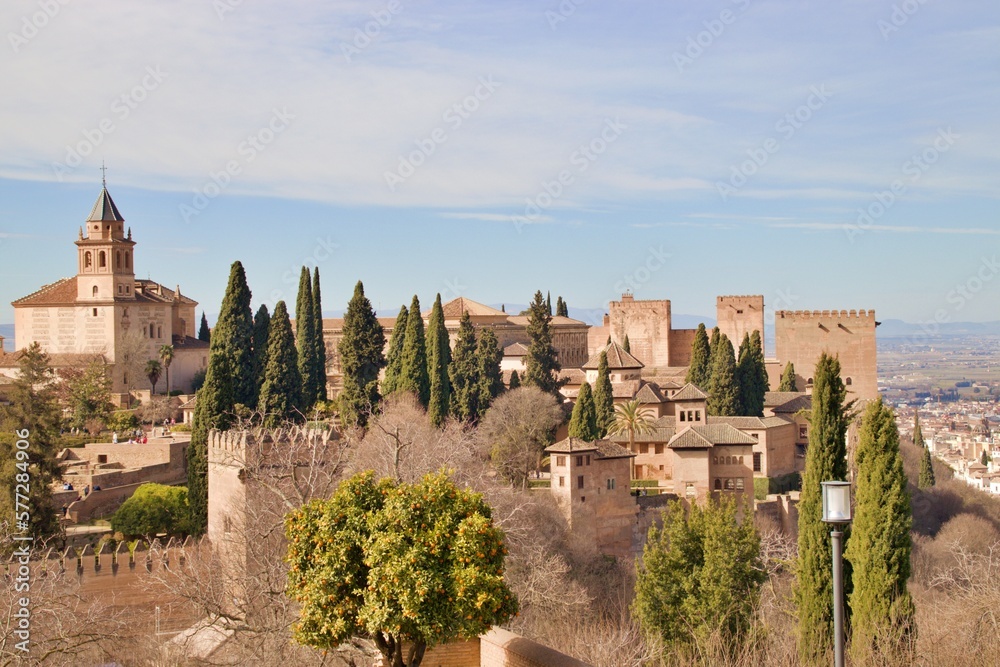 views of the alhambra and its gardens