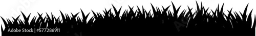 Silhouette Grass Illustration