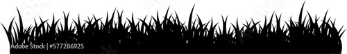 Silhouette Grass Illustration