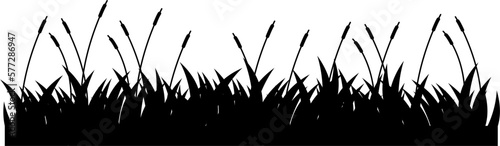 Silhouette Grass Illustration