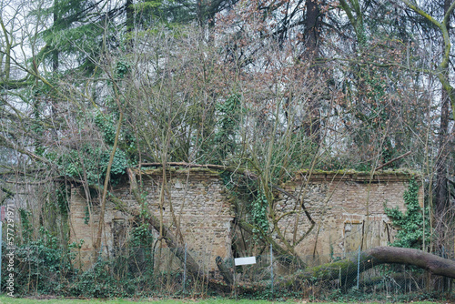 antico edificio in rovina invaso da arbusi photo