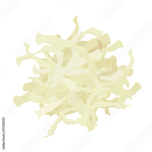 Vector illustration of dried radish strips.