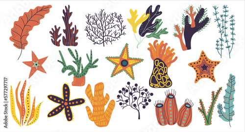 Underwater marine flora and fauna set. Different underwater plants and marine creatures cartoon vector illustration