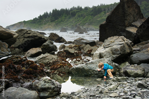 Toddler boy explores tide pool at Patrick's Point State Park, California. photo